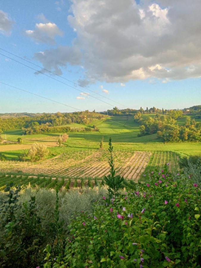 Agriturismo La Pineta Fucecchio Exteriör bild